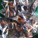 Dried Smoked Cooked Catfish SZ1-4 Fillet