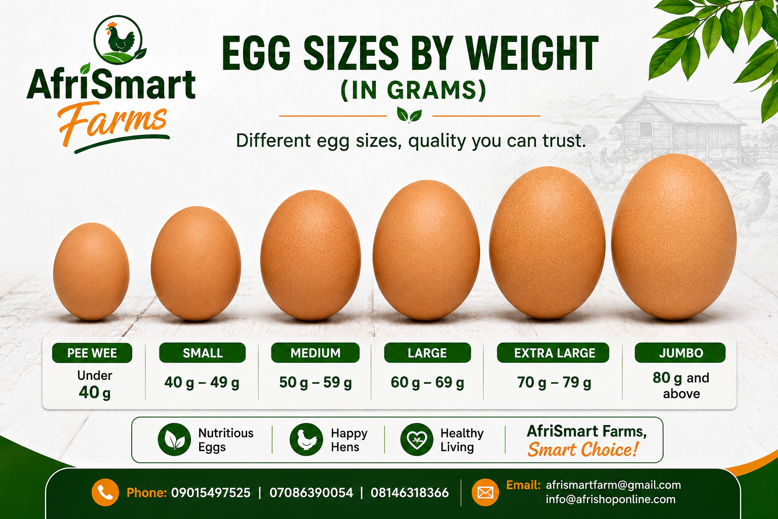 Fresh Farm Eggs - Eggs Sizes in grams