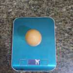 Where to Buy Fresh Chicken Eggs in Lagos – Fresh Farm Eggs from AfriSmart Farms